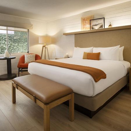 Dr Wilkinsons Backyard Resort And Mineral Springs A Member Of Design Hotels Calistoga Exteriér fotografie